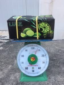 Citron d'exportation bon prix Citron vert frais naturel-citron vert frais sans pépins et citron vert forme Vietnam pour l'exportation vers les moyens-asie de l'est - Product Image 4