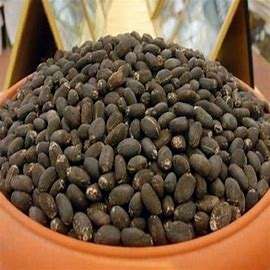 เมล็ดจาปาอบแห้งจากธรรมชาติเกรดดีที่สุดสินค้าการเกษตรพร้อมจำหน่ายทั่วโลก - Product Image 6