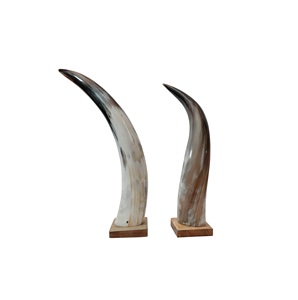 Corne à boire Viking antique véritable couleur naturelle de haute qualité à bas prix pour la corne à boire de la bière et du vin au prix le plus bas - Product Image 1