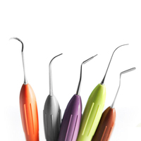 Résine composite esthétique dentaire LM personnalisée, instruments chirurgicaux dentaires ergonomiques en acier inoxydable à alimentation manuelle, certifiés CE