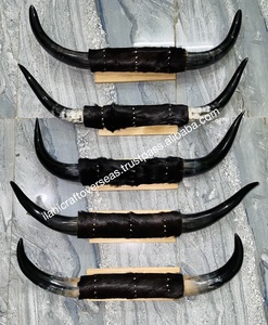 Ensemble de klaxons montés écologiques faits à la main, animaux d'amour, cornes polies, taureau, décoration de la maison occidentale - Product Image 2