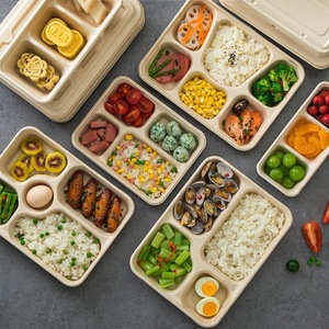 Customized Thickness Matt Lamination Stamping Food Bagasse/Bamboo Pulp Biodegradable Bamboo Bento Box with Lid