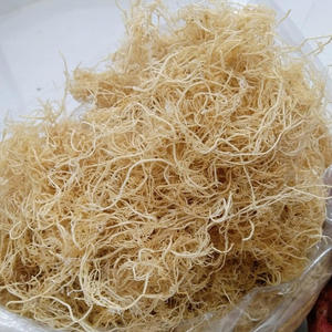 สาหร่าย Gracilaria แห้งสาหร่ายสีทองแบบแห้งผลิตในเวียดนาม - Product Image 3