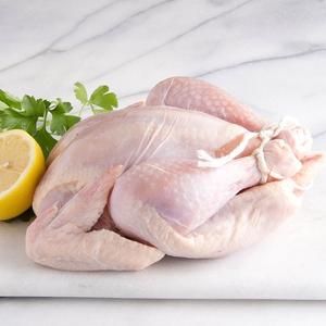 Pollo Entero Congelado Bajo en Grasa, Buen Precio, Halal, Pollo Entero Congelado, Mejor Precio - Product Image 2