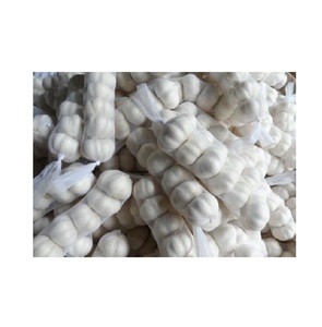 Ail blanc pur frais pelé congelé biologique de haute qualité poids normal dans un sac en filet produit fraîchement cultivé - Product Image 4