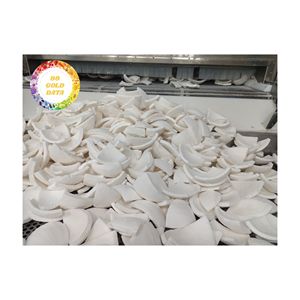 CARNE DE COCO CONGELADA PREMIUM DE VIETNAM LISTO PARA COCINAR PARA HORNO Batidos Y POSTRES CON ALTA CALIDAD - Product Image 1