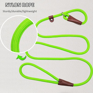 ปลอกคอสุนัขแบบมีไฟสายจูงควบคุมด้วยสีและโลโก้ตามสั่งวัสดุหนังคุณภาพสูงและไนลอน - Product Image 3