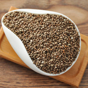 Semilla perilla - Product Image 4