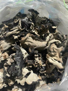 Champignons de bois séchés vietnamiens propres et sûrs pour produits alimentaires de qualité supérieure - Product Image 2