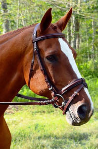 Red Barn Burghley Flash Bridle Seasonal Samosata Old Snake certificado ISO 9001 personalizable bajo petición envío al por mayor - Product Image 5