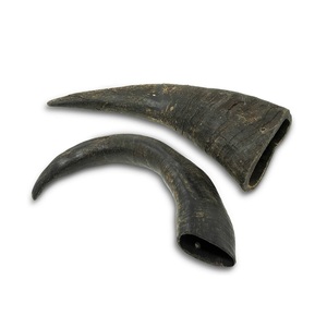 Corne de buffle de taille personnalisée Dug Food pour mâcher les chiens, meilleur prix, matériau corne de buffle, mâcher pour chien de haute qualité, produit solide - Product Image 4