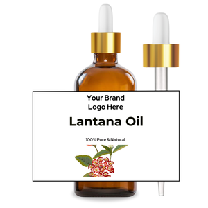 Aceite de Lantana (Lantana camara) Aceite esencial OEM de etiqueta privada Premium - Product Image 1