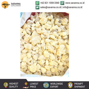 El principal fabricante de Indonesia, un proveedor de resina de goma Dammar de grado premium de calidad genuina 100% para la industria cosmética - Product Image 4