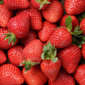 Meilleure qualité fraises fruits frais de haute qualité 100% meilleure vente fruits de fraise fraîche à bas prix disponible en commande en gros - Product Image 4
