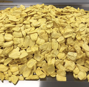 Jackfruit séché du Vietnam, fabriqué à partir de tranches tropicales sélectionnées pour des créations de collations gastronomiques et des utilisations culinaires diverses - Product Image 2