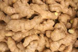 Top Grade Young Ginger Fresh Picante y fragante Pedidos a granel Bienvenido Austria - Product Image 4