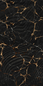 Carrelage en granit indien, design moderne, carrelage de décoration intérieure indien, fabrication en Inde pour le hall d'hôtel. - Product Image 2