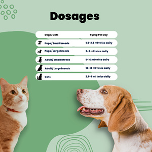 Aniamor Multivitamin Syrup 200 ml OEM para perros y gatos Suplemento de nutrición para mascotas Cuidado de la salud de mascotas y suplementos Multivitaminas - Product Image 4