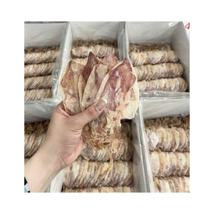 Calamars séchés de qualité supérieure, solution de collation pour le bureau et nutriments marins essentiels pour la fonction globale du corps - Product Image 4