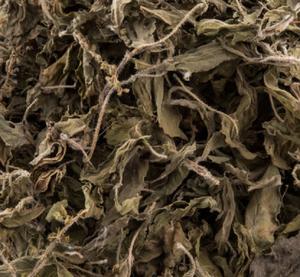 ใบตุลซี |   สมุนไพรอายุรเวทธรรมชาติ |   บริษัท บัลค์ โกลบอล ซัพพลาย อินเดีย - Product Image 3