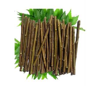 Varillas de Neem (Azadirachta Indica) Orgánicas Indias, Cuidado Bucal Natural a Base de Hierbas, Uso Ayurvédico, 24 Meses de Vida Útil, Transoceanical Impex - Product Image 2