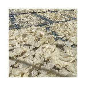 Vejiga de pescado seca natural de Pangasius a buen precio de la vejiga de pescado en forma de tubo de Vietnam - Product Image 2