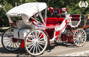 Carro de 4 ruedas con diseño exclusivo de Victoria, carro de paseo en inglés, Caballo Blanco, venta - Product Image 4