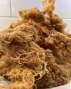 Poudre d'algues marines de haute qualité, approvisionnement en vrac, qualité d'exportation en gros - Product Image 6