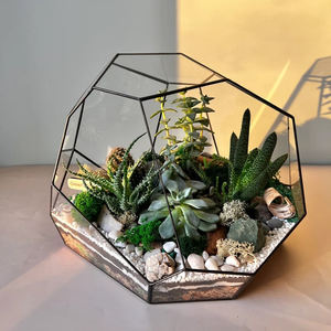 New Top Selling Metal Border Clear <b>Glass</b> Vase Geometric <b>Terrarium</b> Black Colour for Garden Plant Decorative Tabletop Decor - Product Image 2