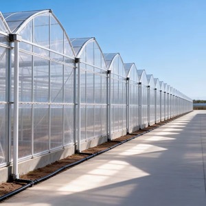 Invernadero Moderno de Múltiples Vetas con Cubierta de Película para Restaurante Ecológico y Jardín Botánico Turístico con Kit de Estilo Estético - Product Image 1