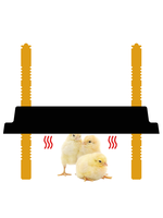 Couveuse de poulet pour chauffer les poussins équipement pour la ferme à usage domestique Des Champs DC-N2530 en vente