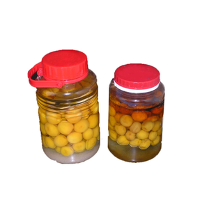 Limones/limones encurtidos a granel en salmuera-Directo de Vietnam - Product Image 1