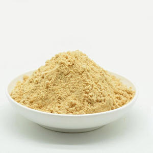 Vente en gros d'ananas poudre de fruit meilleur prix poudre pure d'ananas de qualité supérieure - Product Image 5