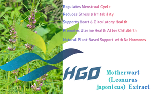 Approvisionnement direct d'usine HGO en extrait naturel pur d'agripaume (Leonurus japonicus) Spécification de qualité alimentaire Extraction d'alcool - Product Image 5