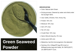 Polvo de algas verdes secas al por mayor fuente Marina suplemento nutricional para alimentos y bebidas funcionales exportación - Product Image 3