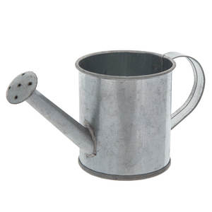 New <b>Iron</b> Water Can for Garden Plants Irrigation and Watering - Product Image 1