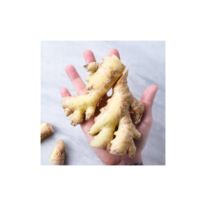 <b>Ginger</b> for Boosting Metabolism Naturally - Product Image 5