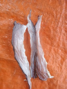Proveedor de Vietnam de Piel de Pescado Seca/ Fábrica de Piel de Pescado Basa/Pangacius Seca - Product Image 3