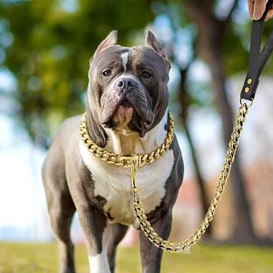 Hochwertige american bully halsband-Hersteller und american bully halsband  auf Alibaba.com finden