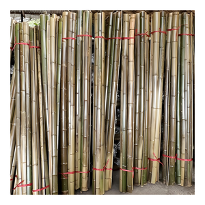Poteaux de bambou naturel haute résistance Vietnam gros grands poteaux de bambou pour les applications de construction-BP010 - Product Image 1