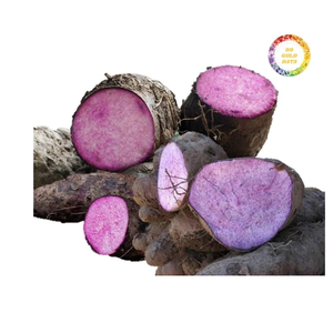 Verduras de raíz cortadas frescas de ñame congelado IQF de alta calidad de Vietnam, listas para exportación para cadenas minoristas y distribución de alimentos - Product Image 6