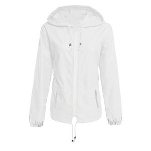 Chaqueta Safari de Manga Larga de Lona con Estampado a Cuadros, Transpirable, con Cierre de Cinturón, para Otoño y Primavera, Venta al por Mayor, Personalizable - Product Image 4