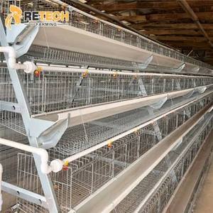 Jaula para Pollos Tipo A Comercial con Sistema Automático de Alimentación, Eliminación de Estiércol y Bebederos para Granjas Avícolas - Product Image 3
