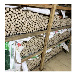 Fournisseur du Vietnam 100% Bâtonnets à mâcher pour chien en bois de café naturel Jouets à mâcher en bois d'arbre à café pour les soins dentaires des chiens à bon prix - Product Image 5