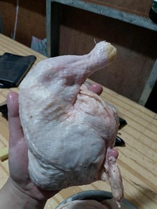 Muslos de Pollo Halal Congelados 170g en Venta, Muslos de Pollo Congelados en Acero Inoxidable - Product Image 5