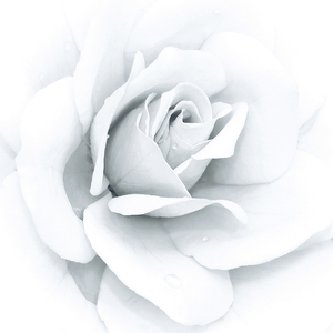 Azulejos modernos de porcelana de alto pulido Superficie Lisa esmaltada vitrificada clásica para encimera de piso de cocina Fabricado EN LA India - Product Image 2