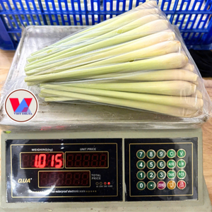 ก้านก้านหอมสะอาดตะไคร้แช่แข็งสำหรับผู้ซื้อสินค้าส่งออกในเวียดนาม - Product Image 4