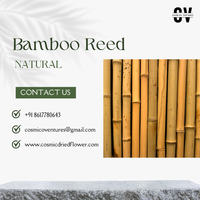 100% bâtons de bambou brut respectueux de l'environnement naturel poteaux piquets de bambou de roseau originaux en différentes tailles pour la décoration de la maison