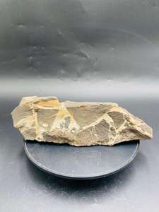 หินแบล็คแมมบาธรรมชาติคุณภาพสูง ขายส่ง แบบดิบและไม่ขัดเงา สำหรับงานบำบัดพลังงานและนักสะสม - Product Image 5