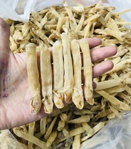 หนอนทรายแห้งจากเวียดนาม เกรดอาหาร วัตถุดิบอาหารทะเลแห้ง สำหรับตลาดขายส่งและส่งออก - Product Image 4